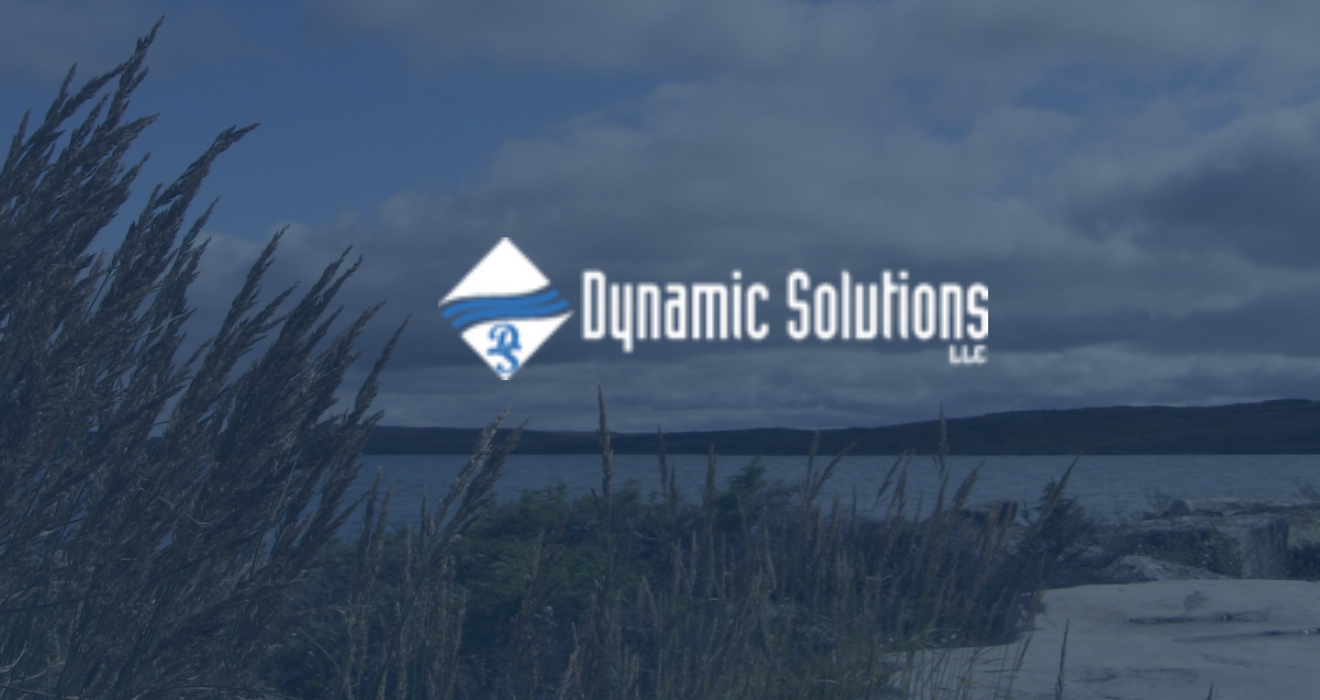 Partner Takeover: Dynamic Solutions